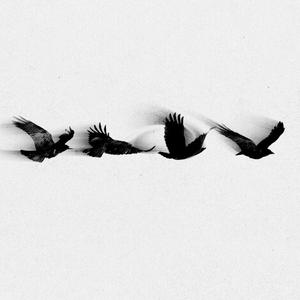 la couleur de la COLOMBE (feat. CY F*CK)