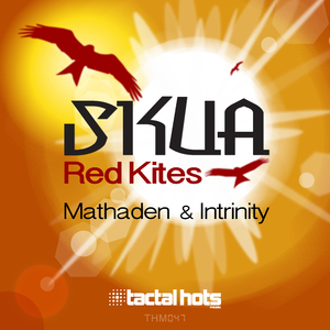 Red Kites (Mathaden Remix)