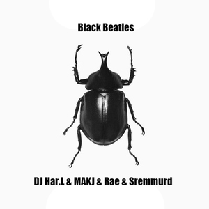 Rae & Sremmurd - 木头人 Black Beatles (DJ Har.L 孙宁 VS MAKJ Mashup Hardstyle)