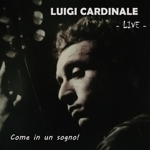 Arina Vynohrads'ka (Live)