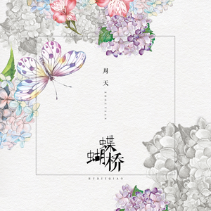 蝴蝶桥 (伴奏)