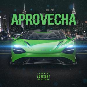 Aprovecha