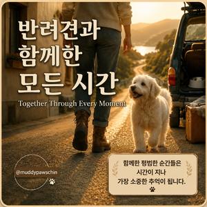 아프지 마