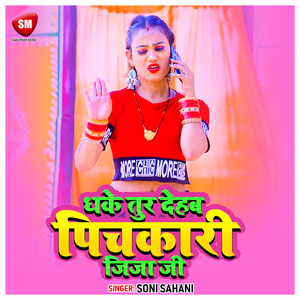 Dhake Tur Dehab Pichkari Jija Jee (Bhojpuri)