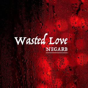 Wasted Love