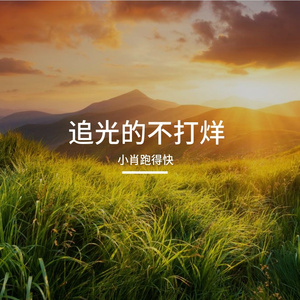 无畏的锋芒