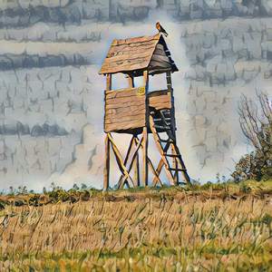 Honey, I'm Not Sorry