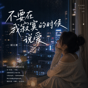 不要在我寂寞的时候说爱