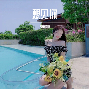 魔尊楠哥-魔尊楠哥 - 各自成全（烟嗓版）（魔尊楠哥 remix）