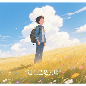 过往已是云烟.wav