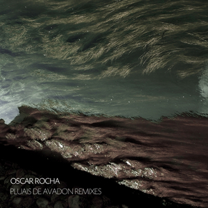 Du Pflaume (Schez Remix)