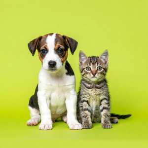 Chirridos Y Relajación