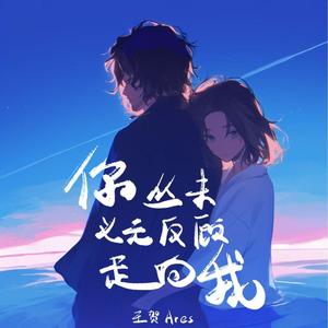 你从未义无反顾走向我(DJ廖秋琦版)伴奏