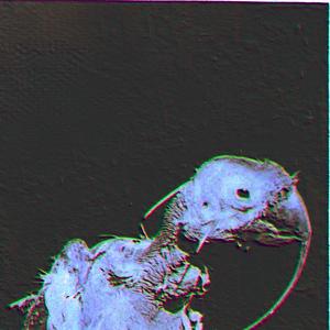 0N M1 M4 (Instrumentals)