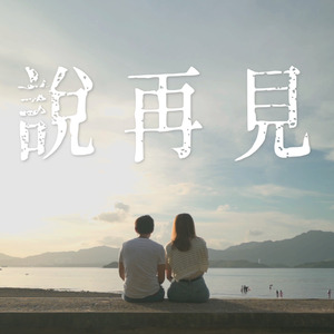 說再見