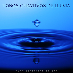 Armonía De Lluvia Y Viento En La Mañana