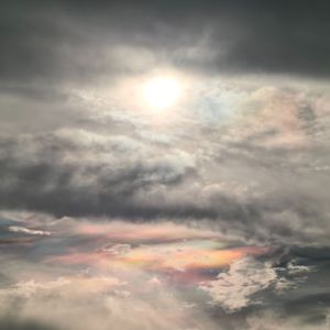 红色_自白书（cover_赵辰龙）