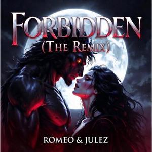 Forbidden (The Remix ft Julez)