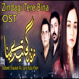 Zindagi Tere Bina (From "Zindagi Tere Bina")