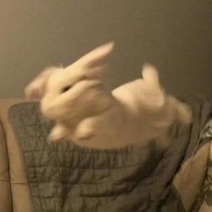 TRUE（钢琴小提琴版）