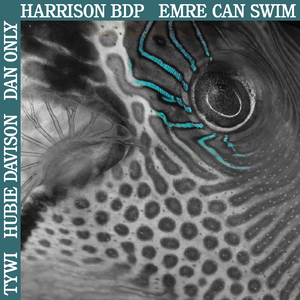 Trying Your Luck (Hubie Davison Remix)