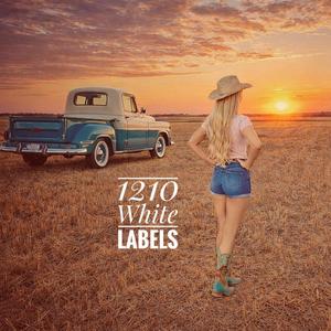 Raindance (UK Garage Iceman remix)