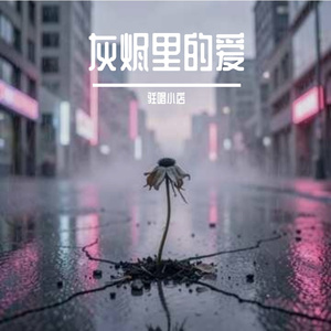 灰烬里的爱