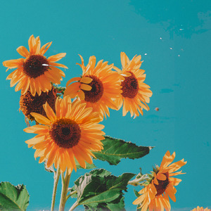 クジラ (2022 Ver.)