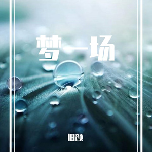 梦一场