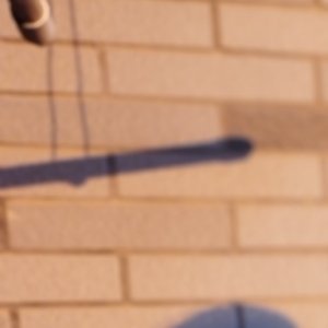 庆幸又害怕地自由