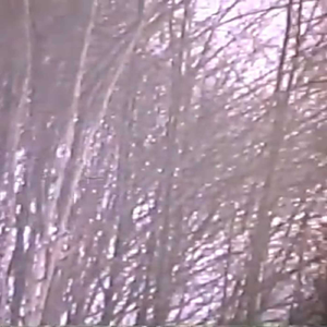 最後の一滴まで