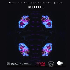 MUTUS/ Mutación 5- Moho Braccatus (Kauaʻi u ʻōʻōʻāʻā)