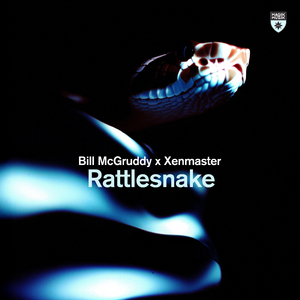 Rattlesnake (Extended Mix)