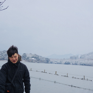 又成一条单身狗