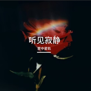 指尖的星空——小说《听见寂静》