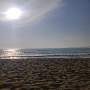 Кукурузка моя