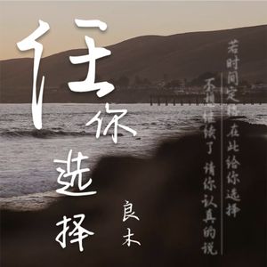 任你选择