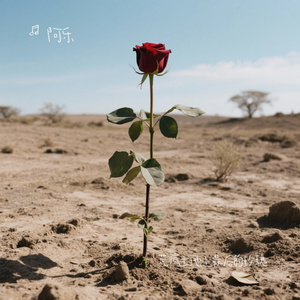 荒瘠土地上最后的玫瑰