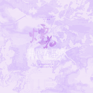 烟花升停在星夜