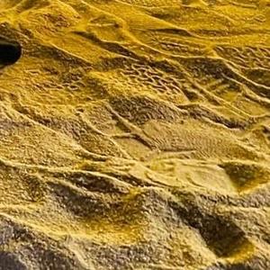 唯二（纯音乐）