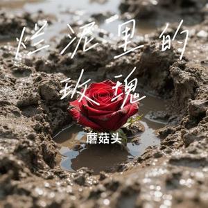 烂泥里的玫瑰