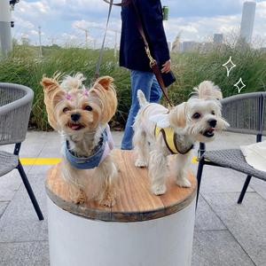 她尝起来像糖果