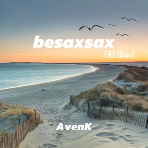 besaxsax（新版DJ）
