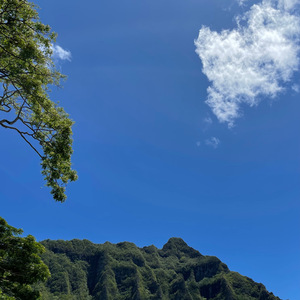 하루의 시작 (빗소리 Ver.)