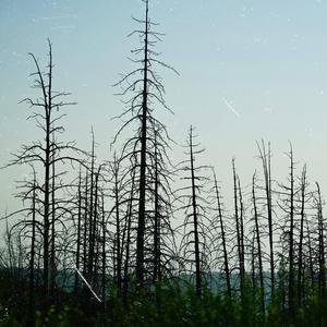 Deadly Rampage 1 (Instrumental)