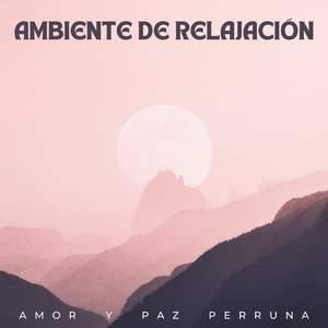Chakra Equilibrando Con La Música Ambiental