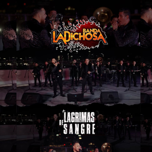 Lagrimas De Sangre