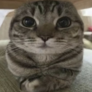 西元戀