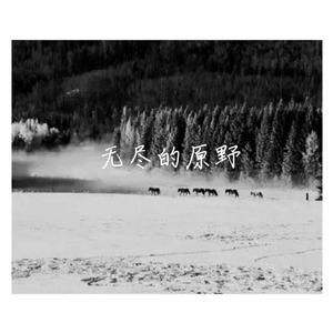 白毛风中的黄骏马