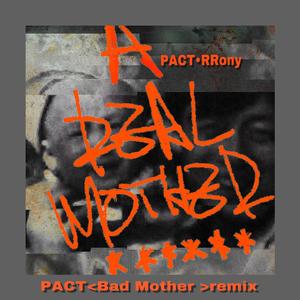 派克特（PACT）-PACTremix（RRony Remix）